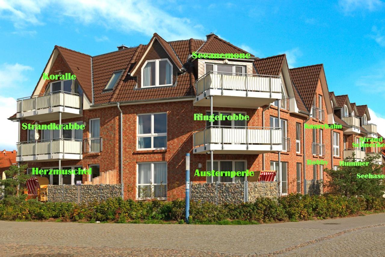 Haus Suedwester Koralle Insel Poel Ngoại thất bức ảnh